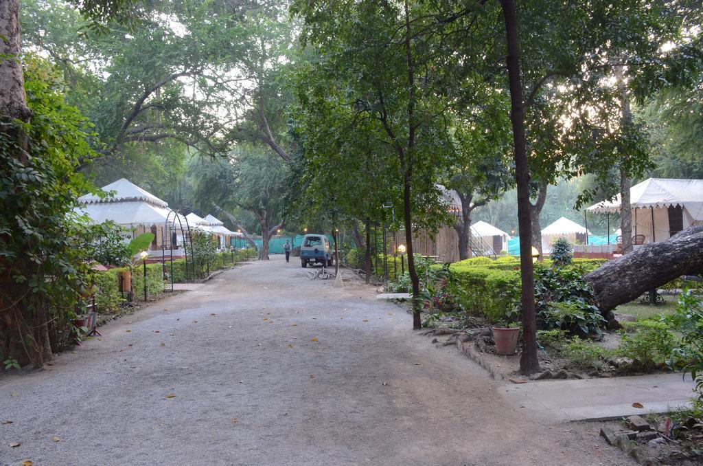 The Aravali Tent Resort Udaipur Eksteriør billede