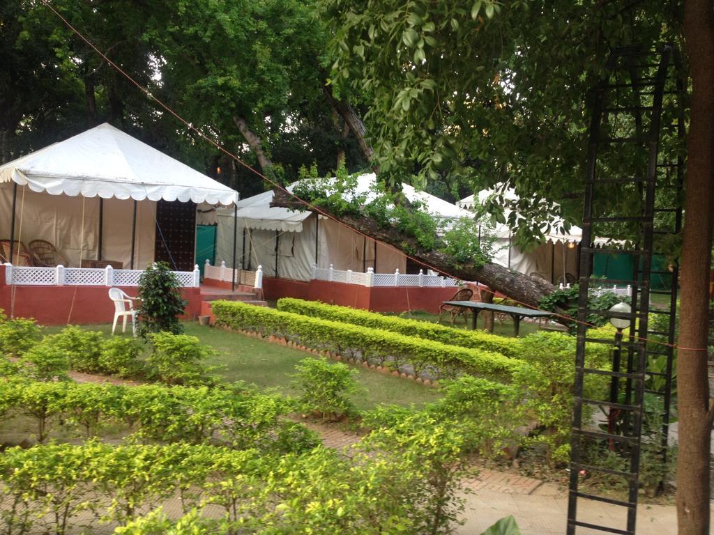 The Aravali Tent Resort Udaipur Værelse billede